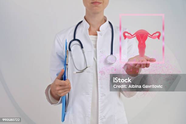 Gynecology Female Healthprevention And Modern Technologies Of Diagnostics Concept Stock Photo - Download Image Now