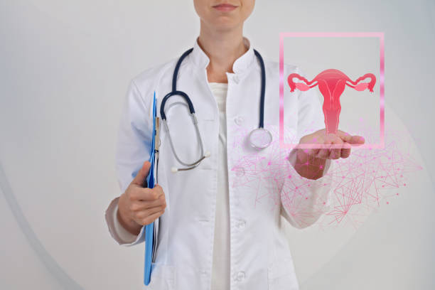 ginekologia, kobieca ochrona zdrowia i nowoczesne technologie koncepcji diagnostycznej - gynecological examination zdjęcia i obrazy z banku zdjęć