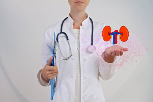istock Kidney health prevention and modern technologies of diagnostics concept 990581092