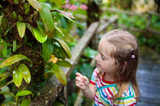 child looking at flower in jungle. - 16207 imagens e fotografias de stock