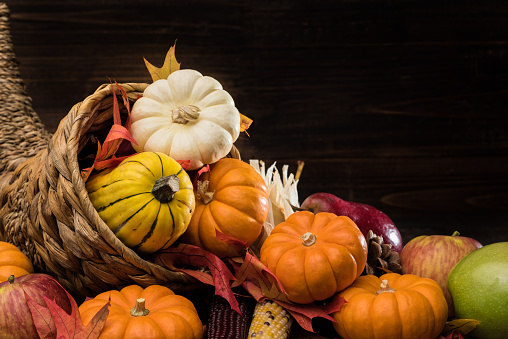 A Thanksgiving holiday decorative cornucopia with pumpkins, squash, leaves etc