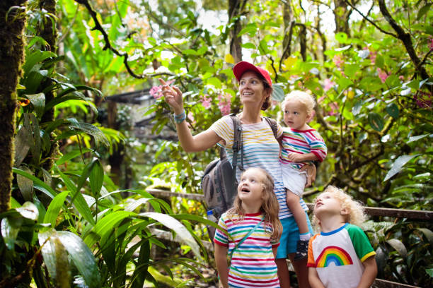 Family hiking in jungle. Mother and kids on a hike in tropical rainforest. Mom and children walk in exotic forest. Travel with child. Borneo jungle and mountains. Boy and girl explore nature in Asia.