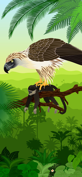 Vector Jungle rainforest vertical baner with philippine Eagle with monkey