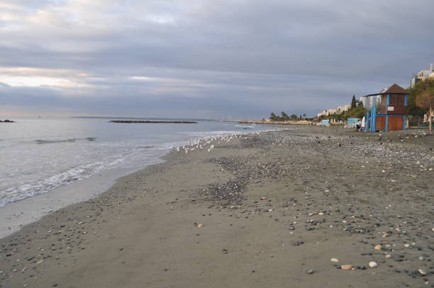 istock The beautiful Limassol Beach in Cyprus 990609606