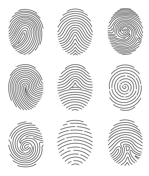 ilustrações de stock, clip art, desenhos animados e ícones de vector illustration set of different shape fingerprint in line style on white background. - track vector individuality thumbprint