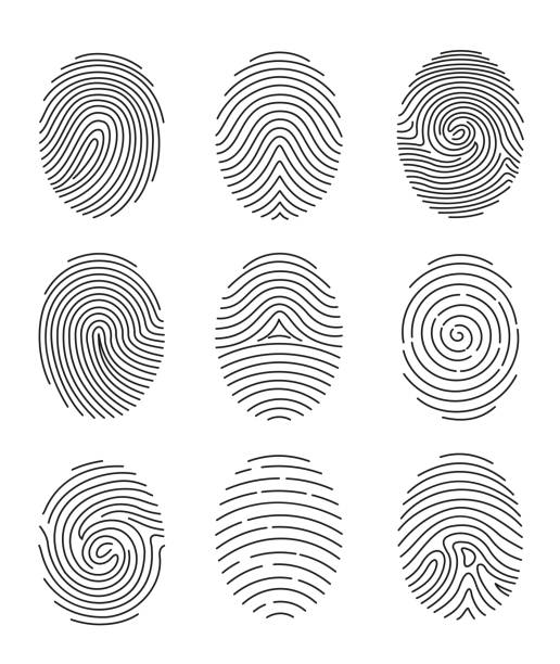 zestaw ilustracji wektorowych dziewięciu typów odcisków palców czarnej linii na białym tle. - fingerprint thumbprint human finger track stock illustrations