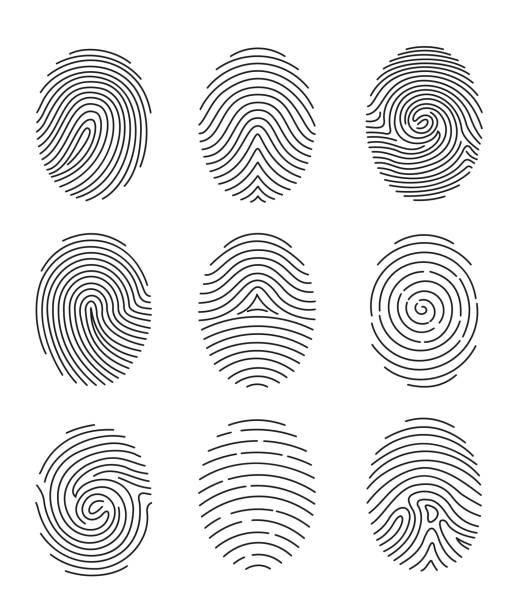 векторный набор иллюстраций из девяти типов отпечатков пальцев черной линии на белом фоне. - thumbprint stock illustrations