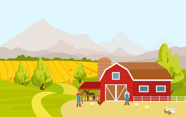 Vector illustration of mountain countryside landscape with red farm barn, fields, people and farm animals in cartoon flat design. Vector illustration of mountain countryside landscape with red farm barn, fields, people and farm animals in cartoon flat design grass vector meadow spring stock illustrations