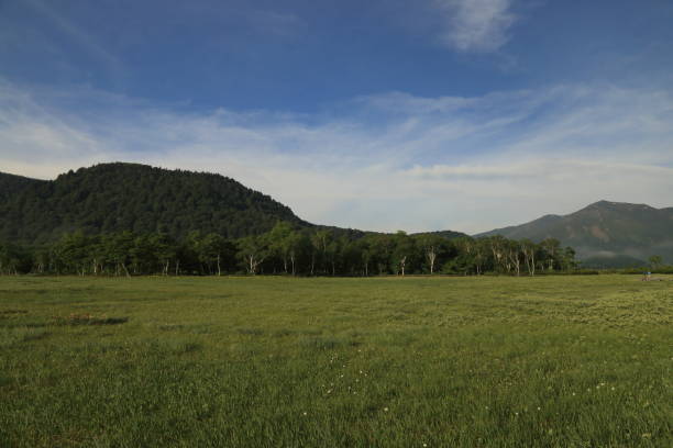 istock Oze national park in early morning 990646422