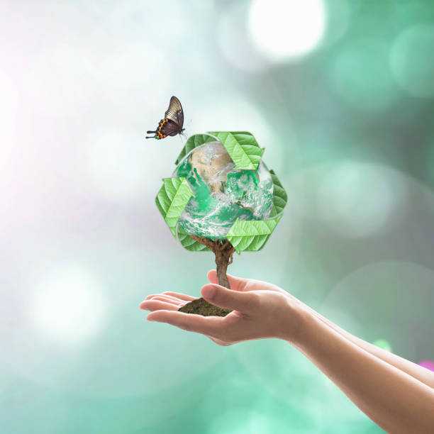 istock Waste recycle management, energy saving awareness, ecological sustainability and tree planting concept: Elements of this image furnished by NASA 990659588
