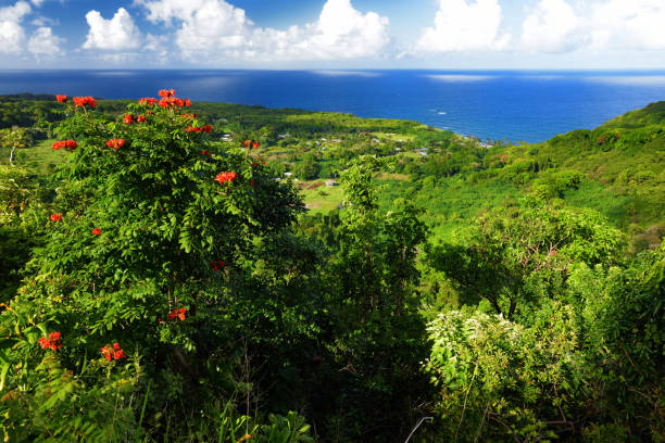 마우이 노스 코스트 하나 유명한 와인딩도 본의 아름 다운 전경. 하와이 - hana maui sea scenics 뉴스 사진 이미지