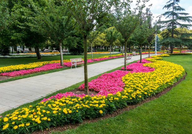 istock Flowerbed and bench in public park 990660740