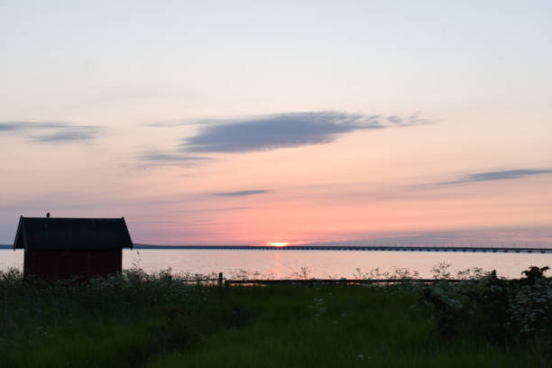 istock Summer evening at the swedish island Oland 990678406