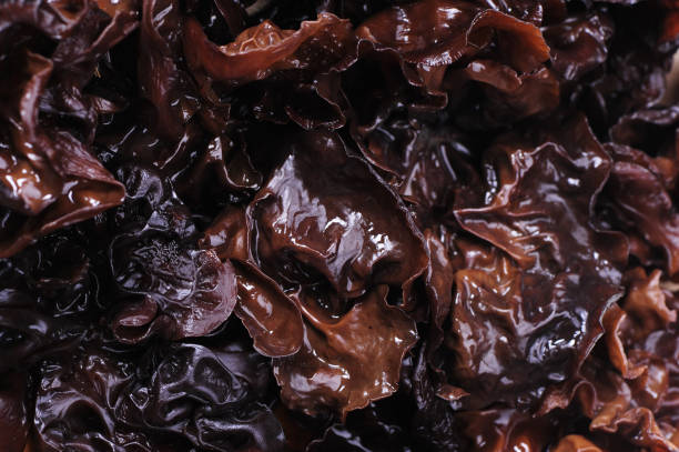istock Black fungus or ear mushroom  background 990708554
