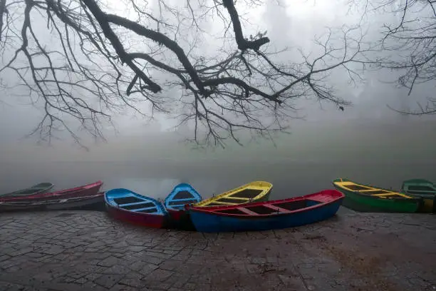 colored boats in the fog under the branches