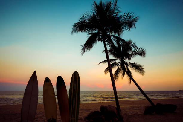 istock surfboard on tropical beach at sunse 990733086