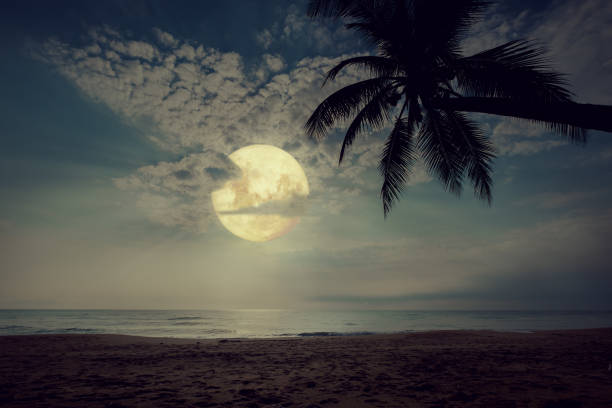 istock Beautiful fantasy tropical 990733352