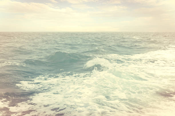 Sea wave foam with mist in vintage color style.