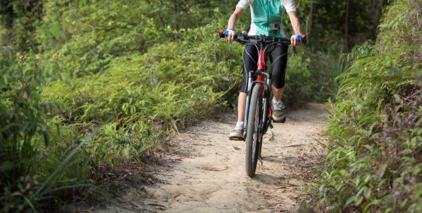 istock Mountain biker cycling on summer forest trail 990737586