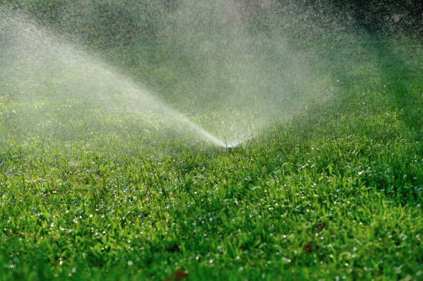 istock Garden Irrigation system spray watering lawn 990783454