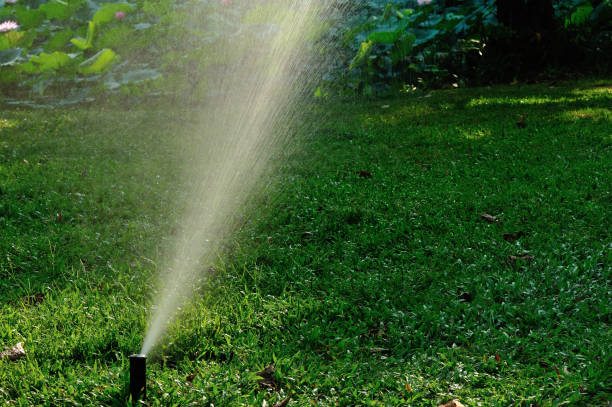 istock Garden Irrigation system spray watering lawn 990783542