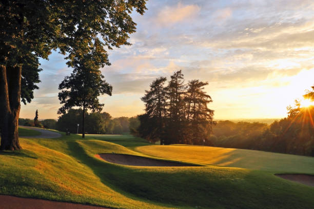 schönen sommer abend natur hintergrund. - golf landscape golf course tree stock-fotos und bilder