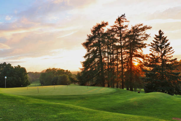 istock Beautiful summer evening nature background. 990783884