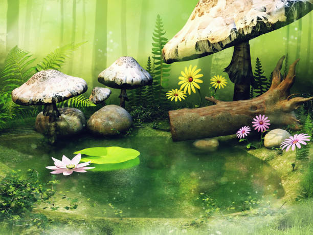istock Little pond with fairy mushrooms 990791556