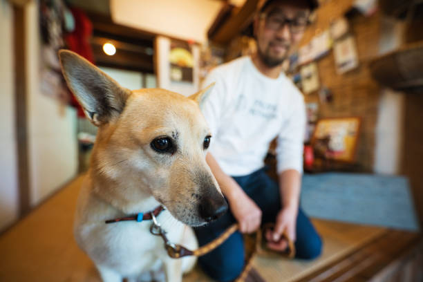 istock Man with a dog ready to greet guests at his home 990794322