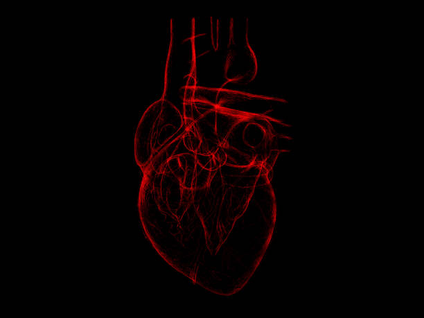 istock Isolated x-ray red human heart 3d illustration on black background 990797494