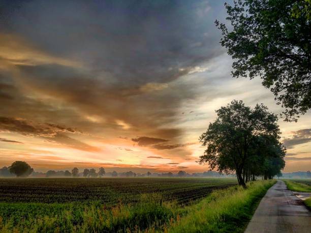 istock Rural sunrise over the farmfields 990815344