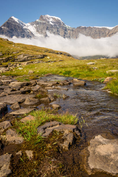 istock Summer mountains rivers and glaciers 990818232