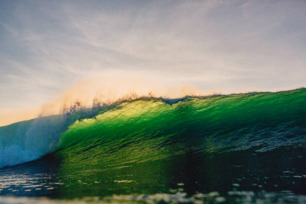 istock Big barrel wave in ocean. Green wave after sunset 990844834
