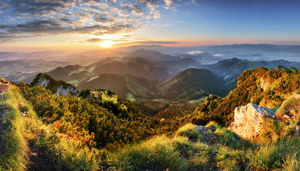 Mountain forest landscape under evening sky with clouds in sunlight.