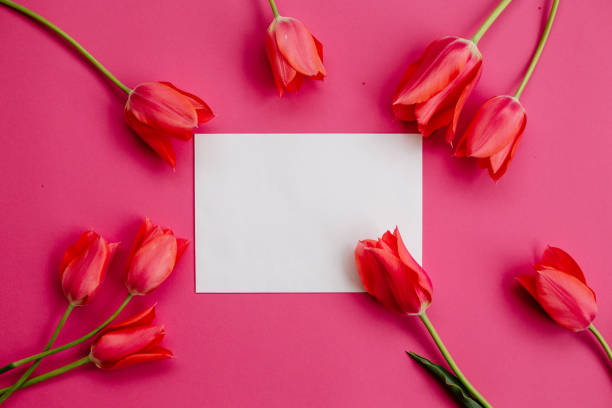 istock Tulips and a white sheet of paper. 990868736