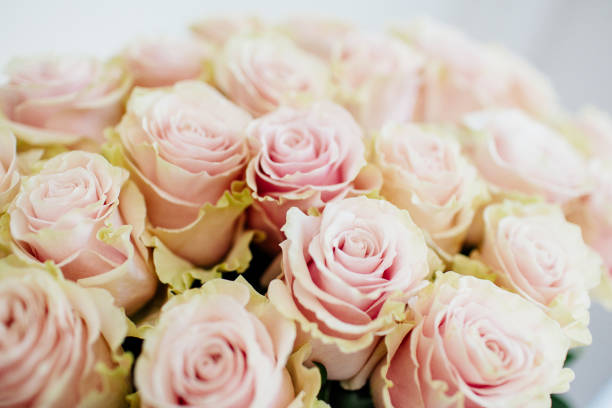 istock Bouquet of roses in a vase. 990872860
