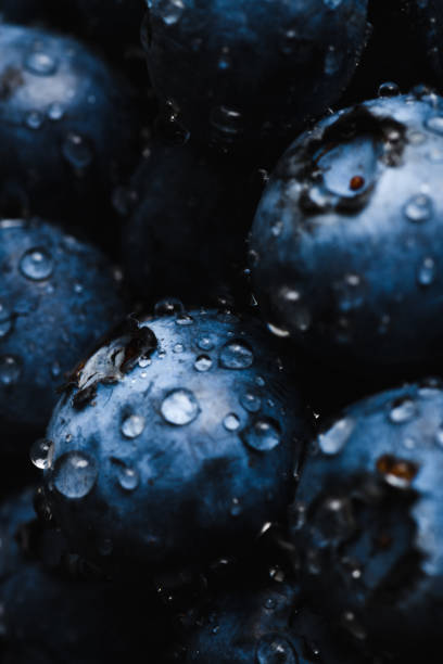 Fresh blueberry with water drops