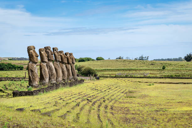 ahu akivi rapa nui moais da ilha de páscoa - polynesia moai statue island chile - fotografias e filmes do acervo
