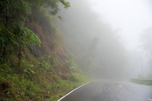 istock Foggy road in the forest ,Beautiful nature trail (Picture put grain) 990877994