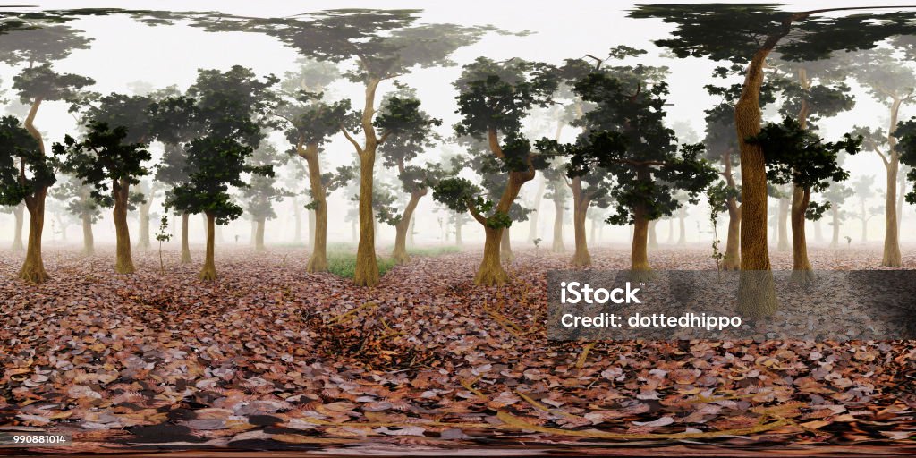 HDRI map, spherical environment panorama background, misty forest light source rendering (3d equirectangular rendering) 360 degree lighting backdrop texture 360-Degree View Stock Photo