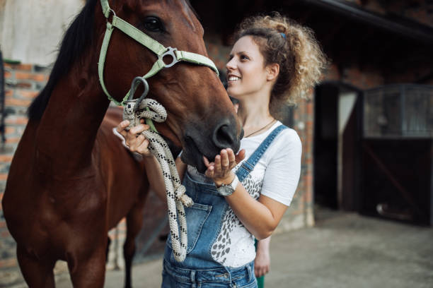 la donna e il suo cavallo - cavallo foto e immagini stock