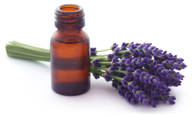 istock Lavender oil with flower 990899126