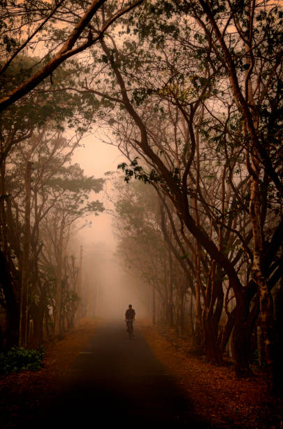 a cyclist on a foggy winter morning - indiana autumn woods forest imagens e fotografias de stock