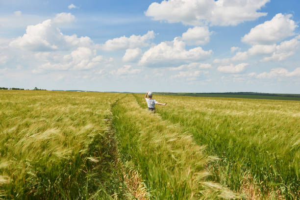 istock child run through the wheat field, bright sun, beautiful summer landscape 990902332