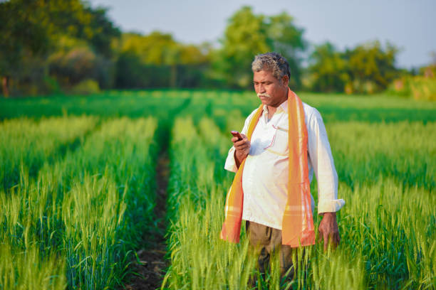 istock Indian man in a field talking on phone 990902542