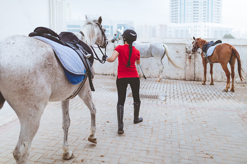 Woman jockey leading horse by reins