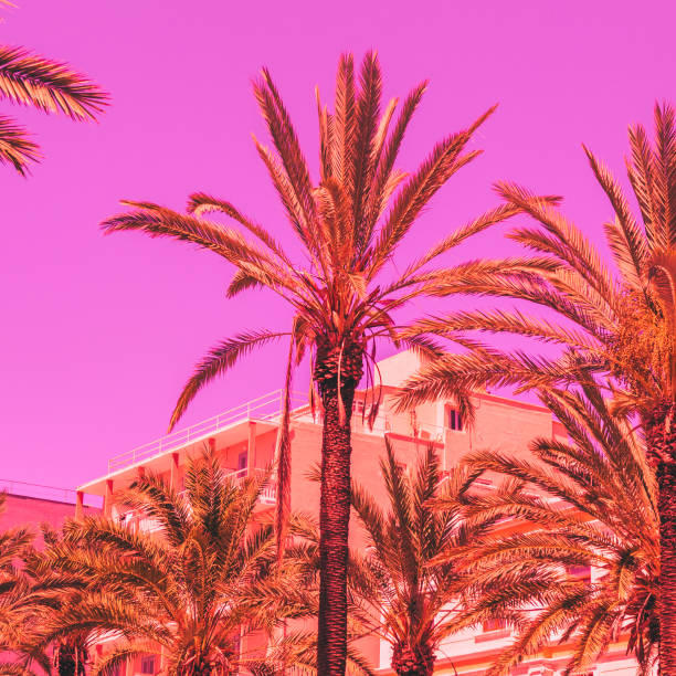 istock orange palm trees against the hotel. 990909904