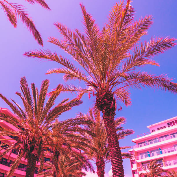 istock pink palm trees  and hotel against the dark blue sky. 990909938