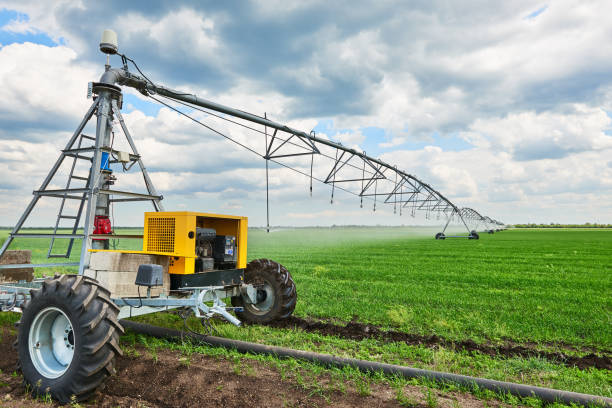 máquina de riego riego campo agrícola con brotes jóvenes, las plantas verdes en el suelo negro y hermoso cielo - watering place fotografías e imágenes de stock