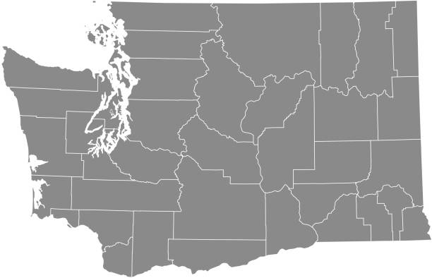 Washington counties map vector outline gray background All counties have separate and accurate borders that can be selected and easily edited. whitman county washington state stock illustrations